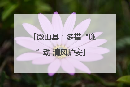微山县：多措“廉”动 清风护安