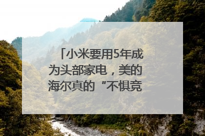 小米要用5年成为头部家电，美的海尔真的“不惧竞争”？｜热财经