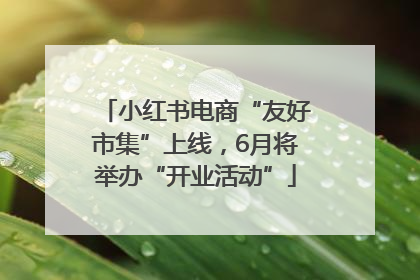 小红书电商“友好市集”上线，6月将举办“开业活动”