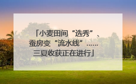 小麦田间“选秀”、蚕房变“流水线”……三夏收获正在进行