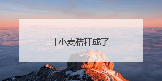 小麦秸秆成了“香饽饽”