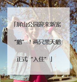 屏山公园迎来新宠“鹅”！两只黑天鹅正式“入住”