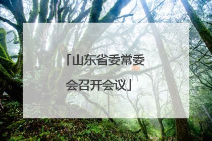 山东省委常委会召开会议