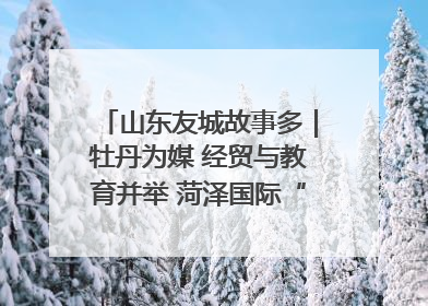 山东友城故事多｜牡丹为媒 经贸与教育并举 菏泽国际“朋友圈”扩容升级