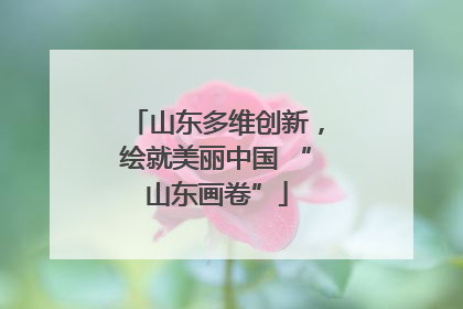 山东多维创新，绘就美丽中国 “山东画卷”