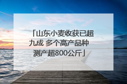 山东小麦收获已超九成 多个高产品种测产超800公斤