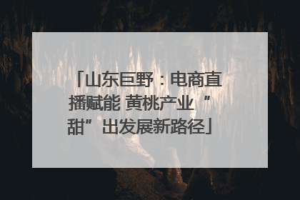 山东巨野：电商直播赋能 黄桃产业“甜”出发展新路径