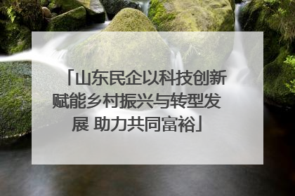 山东民企以科技创新赋能乡村振兴与转型发展 助力共同富裕