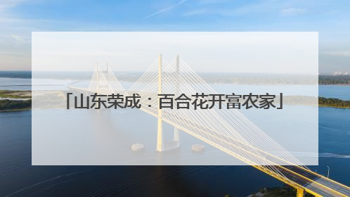 山东荣成：百合花开富农家