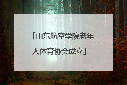 山东航空学院老年人体育协会成立