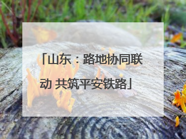 山东：路地协同联动 共筑平安铁路