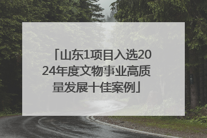 山东1项目入选2024年度文物事业高质量发展十佳案例