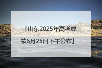 山东2025年高考成绩6月25日下午公布
