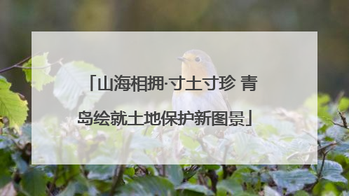山海相拥·寸土寸珍 青岛绘就土地保护新图景