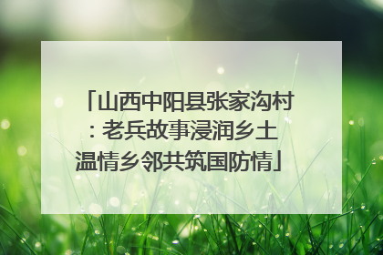 山西中阳县张家沟村：老兵故事浸润乡土 温情乡邻共筑国防情