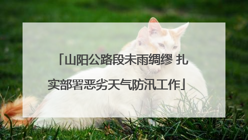 山阳公路段未雨绸缪 扎实部署恶劣天气防汛工作