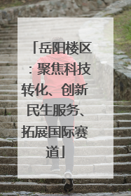 岳阳楼区：聚焦科技转化、创新民生服务、拓展国际赛道