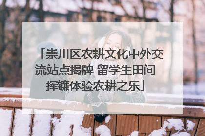 崇川区农耕文化中外交流站点揭牌 留学生田间挥镰体验农耕之乐
