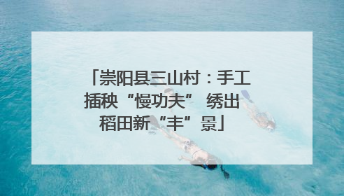崇阳县三山村：手工插秧“慢功夫” 绣出稻田新“丰”景