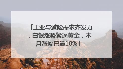 工业与避险需求齐发力，白银涨势紧逼黄金，本月涨幅已逾10%