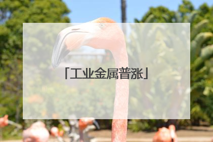 工业金属普涨