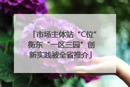 市场主体站“C位” 衡东“一区三园”创新实践被全省推介