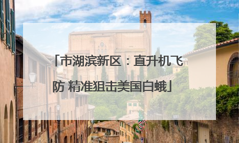 市湖滨新区：直升机飞防 精准狙击美国白蛾