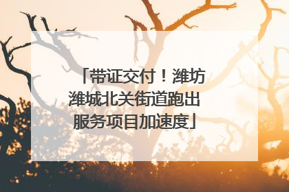 带证交付！潍坊潍城北关街道跑出服务项目加速度