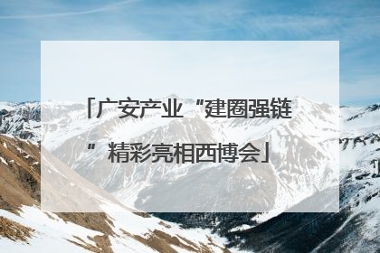 广安产业“建圈强链”精彩亮相西博会