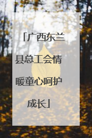 广西东兰县总工会情暖童心呵护成长