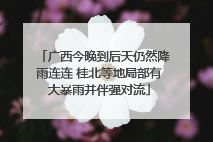 广西今晚到后天仍然降雨连连 桂北等地局部有大暴雨并伴强对流