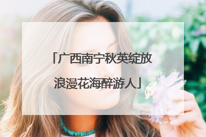 广西南宁秋英绽放 浪漫花海醉游人