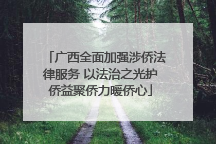 广西全面加强涉侨法律服务 以法治之光护侨益聚侨力暖侨心