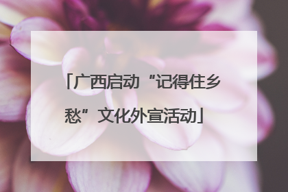 广西启动“记得住乡愁”文化外宣活动