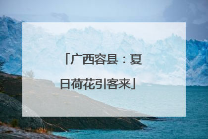 广西容县：夏日荷花引客来