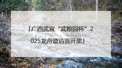 广西武宣“武粮园杯”2025龙舟邀请赛开桨