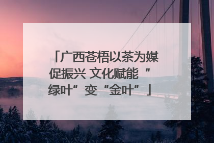 广西苍梧以茶为媒促振兴 文化赋能“绿叶”变“金叶”
