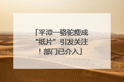 平潭一骆驼瘦成“纸片”引发关注！部门已介入