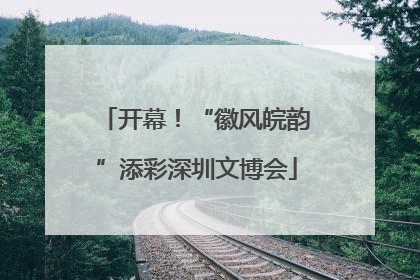 开幕！“徽风皖韵”添彩深圳文博会