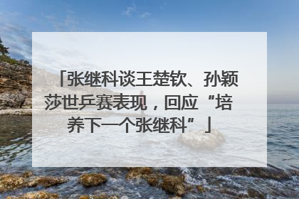 张继科谈王楚钦、孙颖莎世乒赛表现，回应“培养下一个张继科”