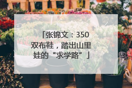 张锦文：350双布鞋，踏出山里娃的“求学路”
