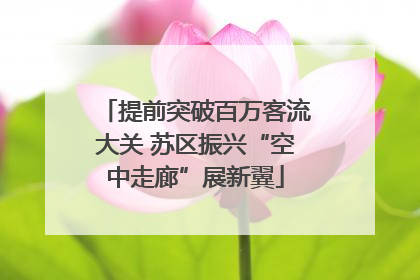 提前突破百万客流大关 苏区振兴“空中走廊”展新翼