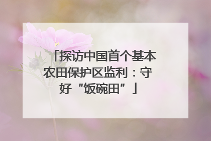探访中国首个基本农田保护区监利：守好“饭碗田”