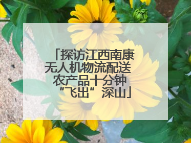 探访江西南康无人机物流配送 农产品十分钟“飞出”深山