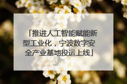 推进人工智能赋能新型工业化，宁波数字安全产业基地投运上线