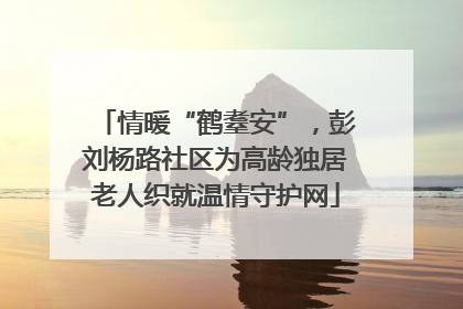 情暖“鹤耋安”，彭刘杨路社区为高龄独居老人织就温情守护网