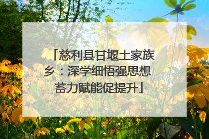 慈利县甘堰土家族乡：深学细悟强思想 蓄力赋能促提升