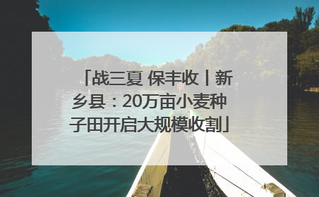 战三夏 保丰收丨新乡县：20万亩小麦种子田开启大规模收割