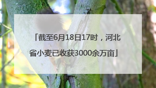 截至6月18日17时，河北省小麦已收获3000余万亩