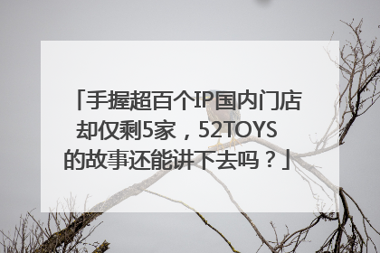 手握超百个IP国内门店却仅剩5家，52TOYS的故事还能讲下去吗？